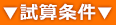 試算条件